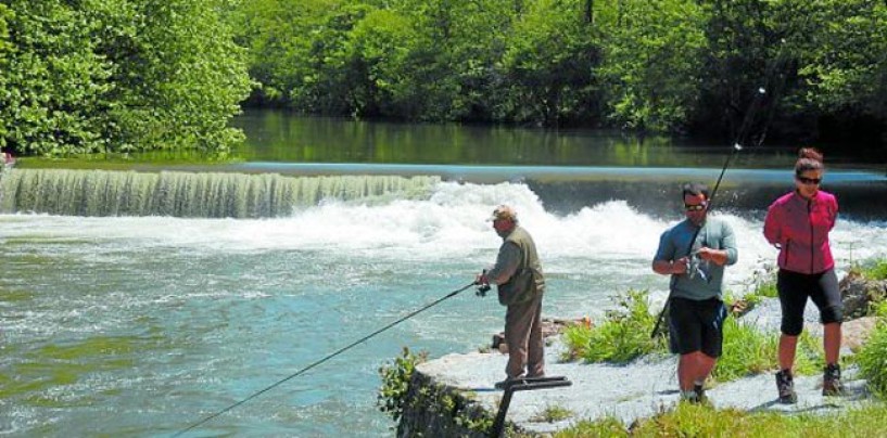 Pezcador al día, principales noticias de pesca (Abril 2015, 4)