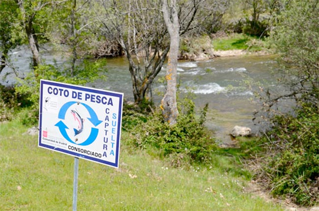 pesca-madrid