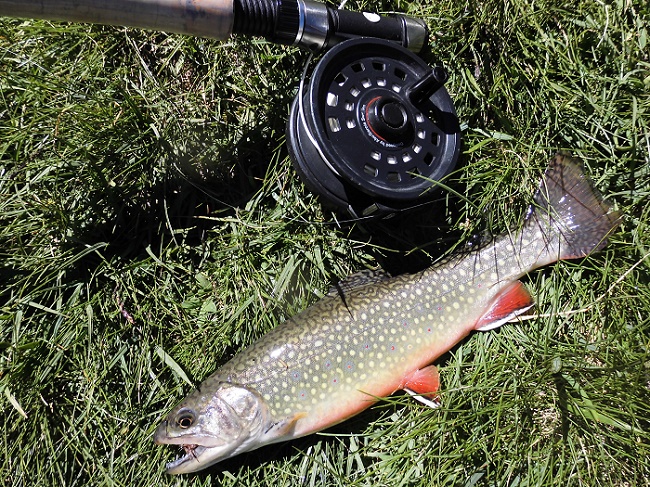 pesca a mosca en Andorra