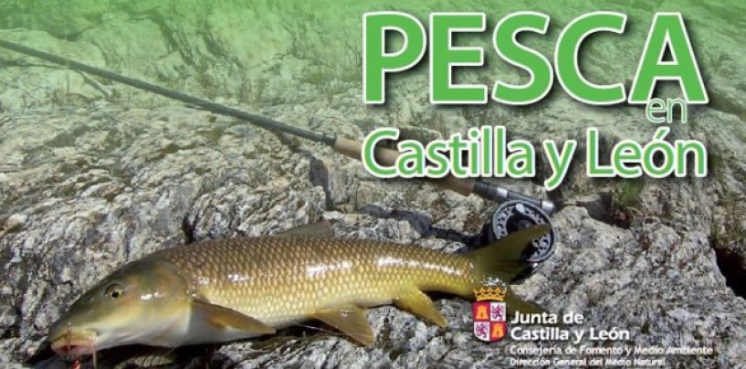 La Junta de Castilla y León vuelve a editar el panfleto con la normativa de pesca