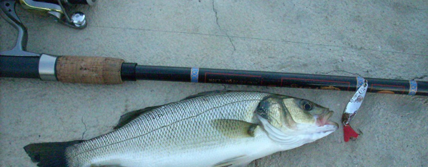 La cucharilla ondulante para mar, un señuelo olvidado