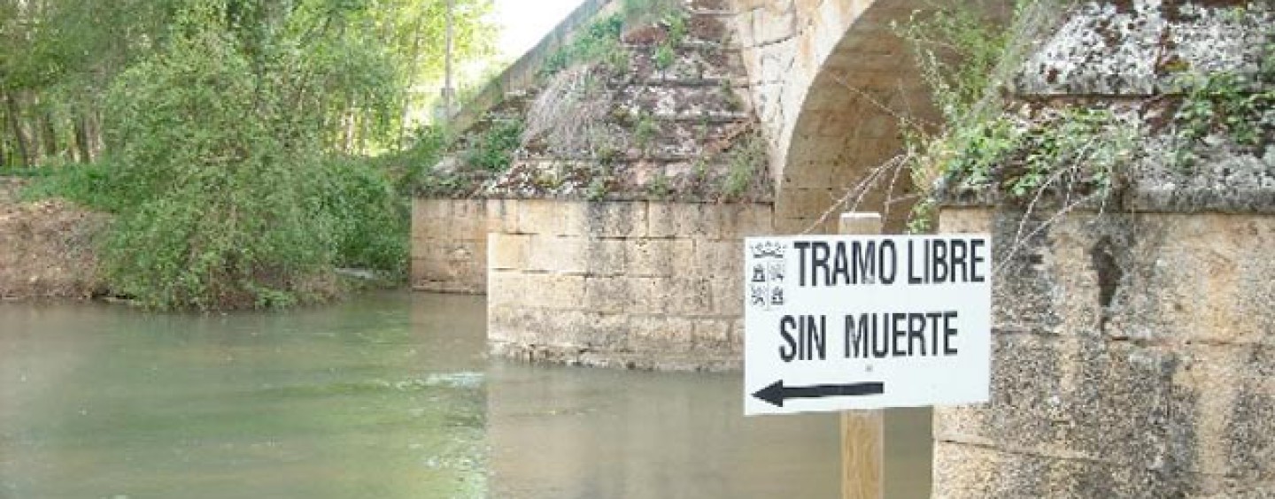 Cómo sacar la licencia de pesca de Castilla y León