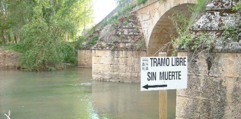 Cómo sacar la licencia de pesca de Castilla y León
