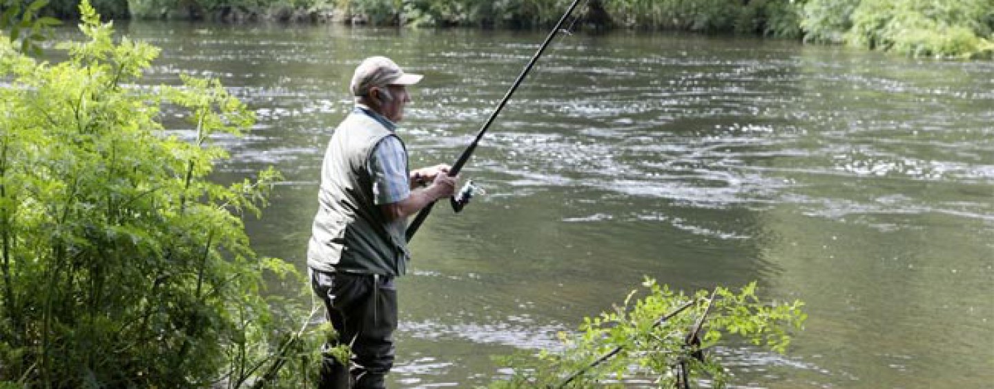 Pezcador al día, principales noticias de pesca (Mayo 2015, 3)