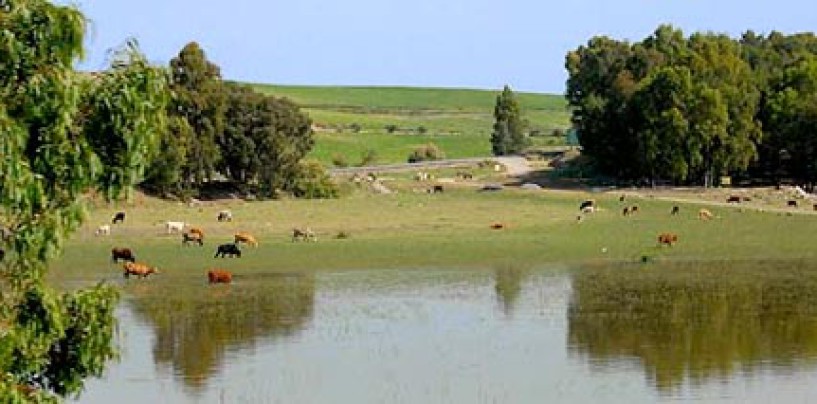 Embalse de Bornos, el tapado de Cadiz