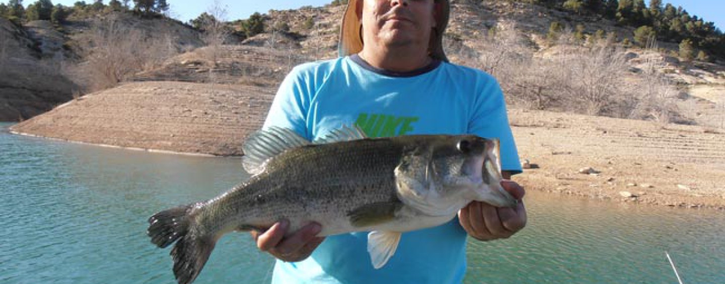 Pesca del Black Bass, el “Blas” para los amigos ¿Una pesca sobrevalorada?