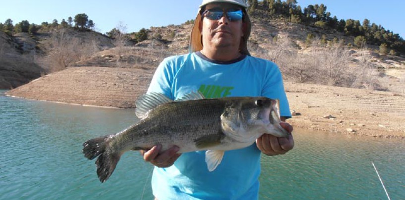 Pesca del Black Bass, el “Blas” para los amigos ¿Una pesca sobrevalorada?