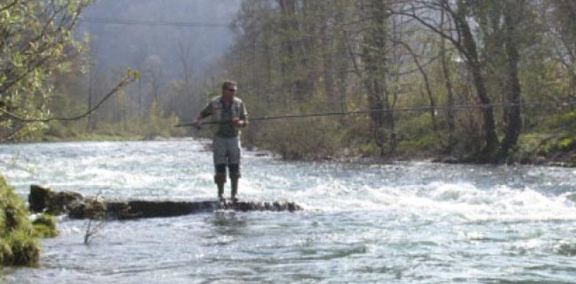 Cómo sacar la licencia de pesca de Asturias