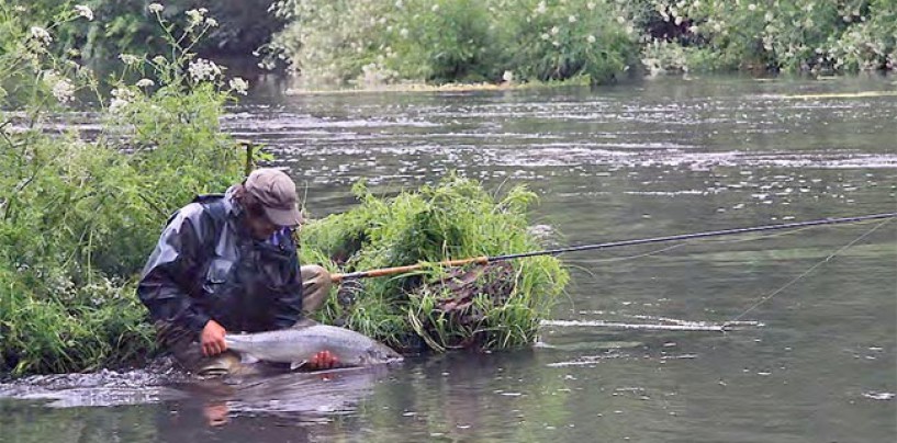 Cómo sacar la licencia de pesca de Navarra