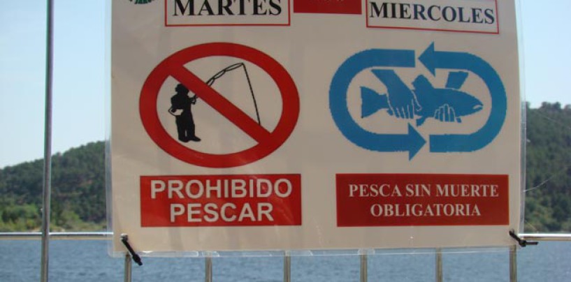 Cómo solicitar los cotos de pesca de Madrid