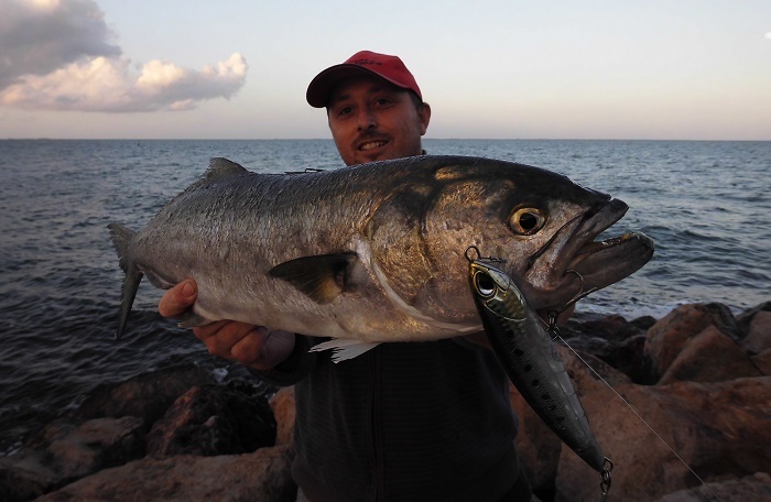 Pesca de anjova a spinning