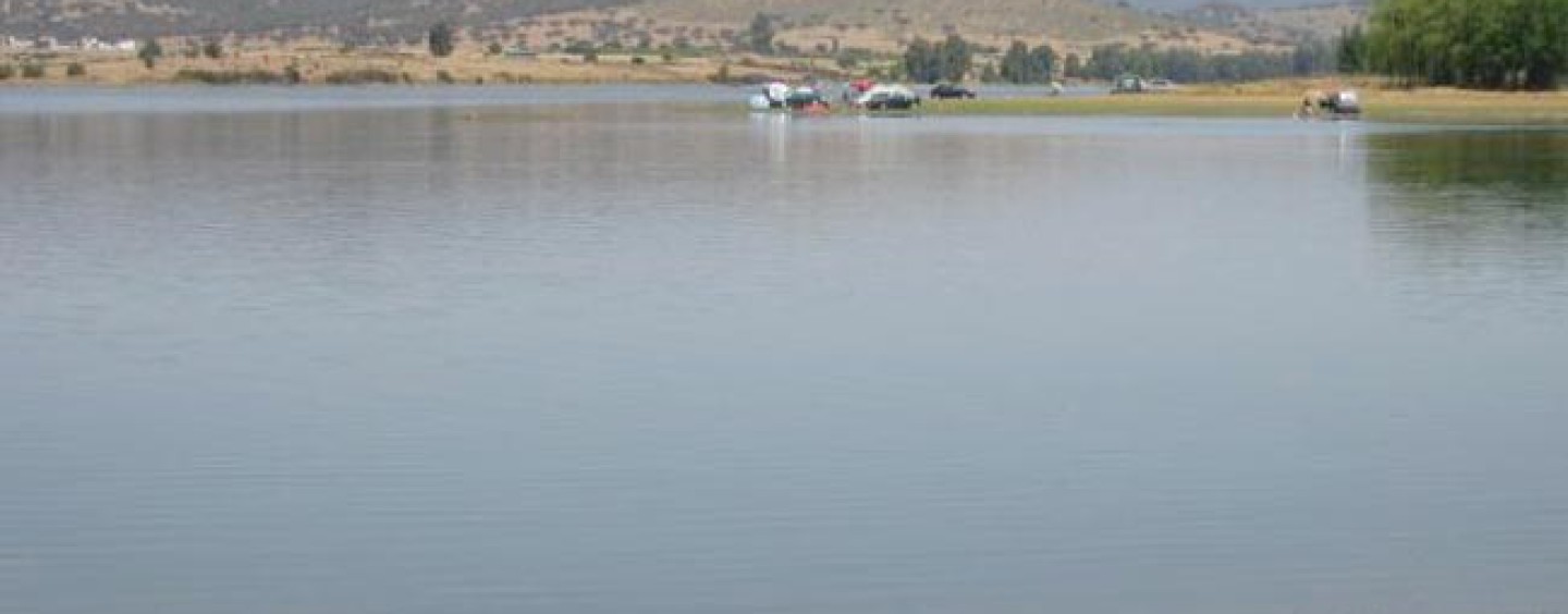 Pesca en el embalse de Brovales, ciprínidos y mucho más