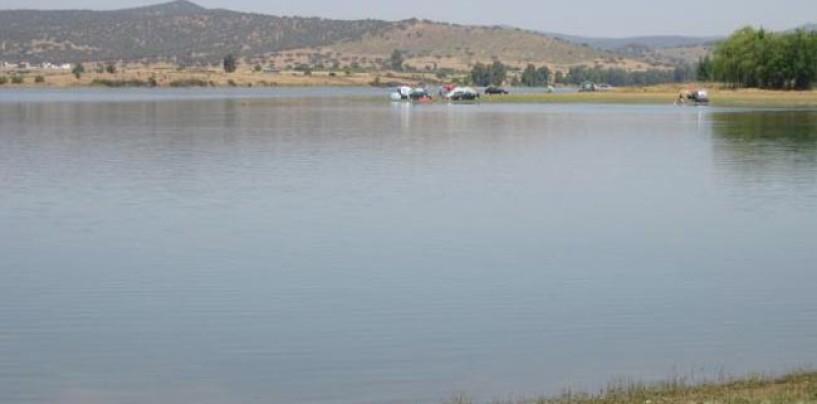 Pesca en el embalse de Brovales, ciprínidos y mucho más