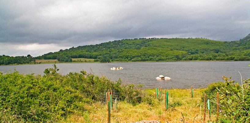 Pesca en el Embalse de los Morales