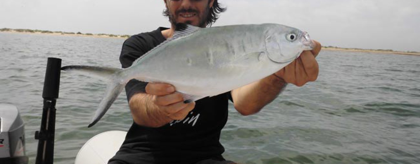 La pesca de la palometa blanca a spinning