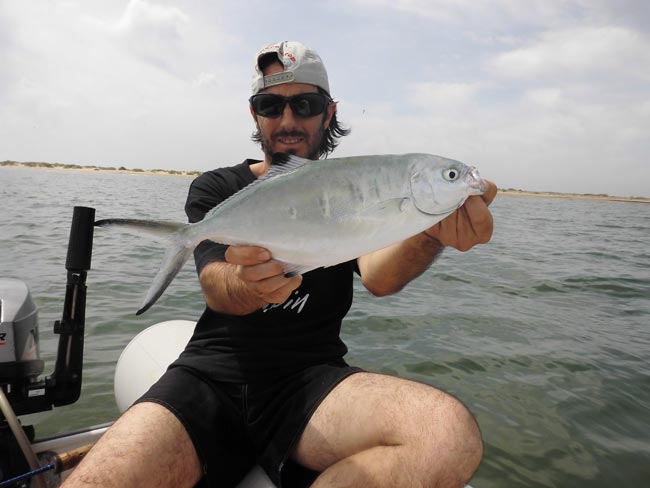 gran-palometa-blanca-a-spinning