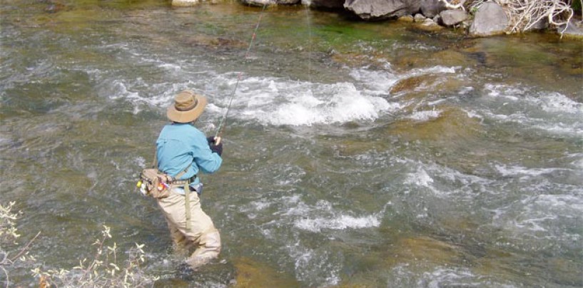 Cómo sacar permisos en los cotos de pesca de La Rioja