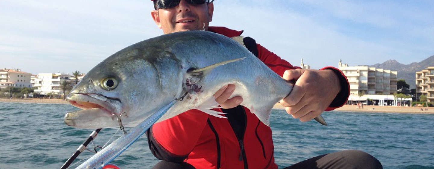 Anjovas a spinning embarcado la teoría y práctica de su pesca a lance