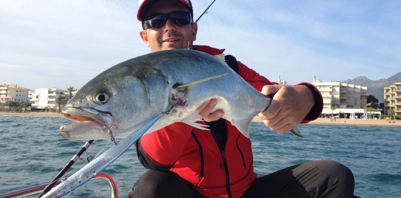 Anjovas a spinning embarcado la teoría y práctica de su pesca a lance