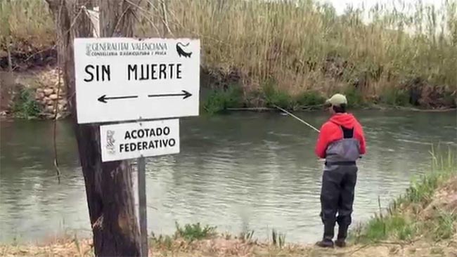 coto-de-pesca-valencia-2