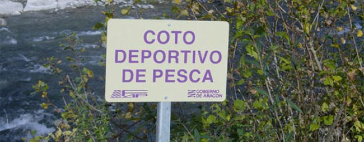 Cómo conseguir permisos de cotos de pesca en Aragón