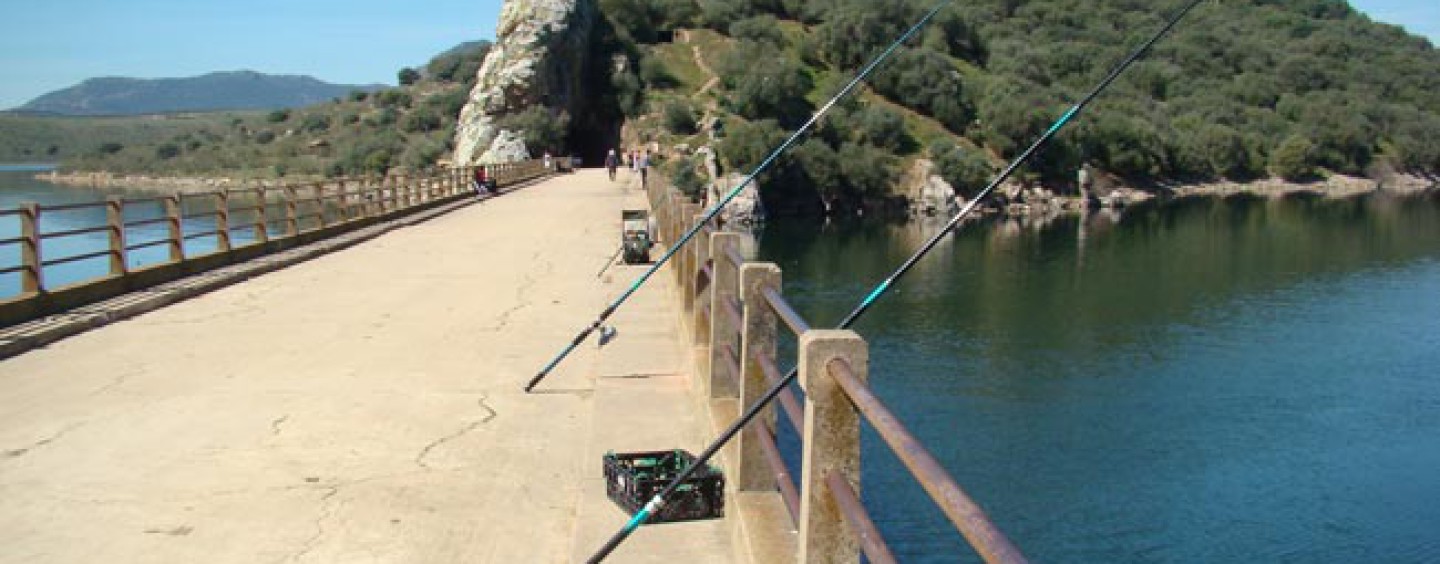 Pesca en el puente de Cogolludo, Embalse de Orellana