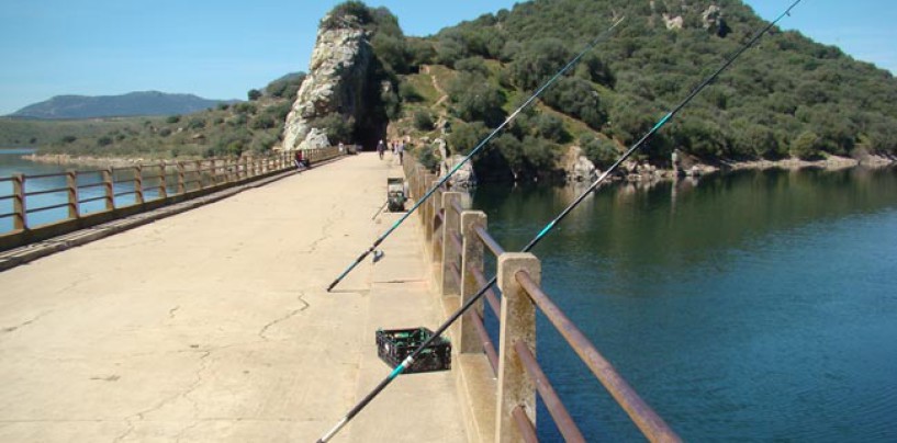 Pesca en el puente de Cogolludo, Embalse de Orellana
