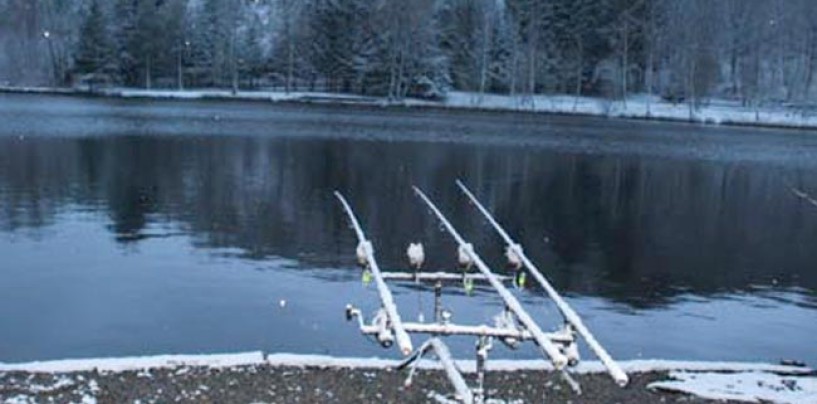 Qué podemos hacer para mejorar la pesca de carpas en Invierno