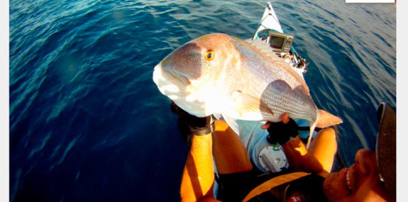 Kayak, equipo cinnetic y de nuevo “dentex”