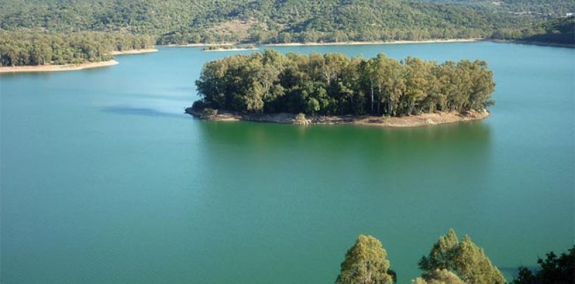 Los famosos barbos del Embalse de los Hurones