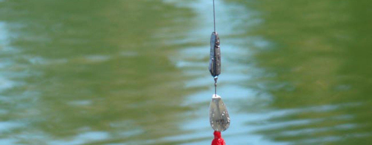 La pesca del lucio con cucharilla cuando llega el frío