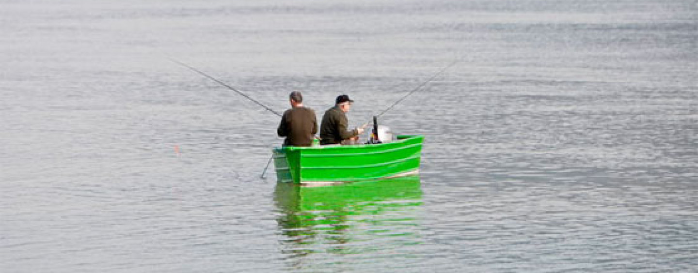 Pezcador al día, principales noticias de pesca (marzo 2017, 1)