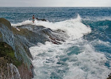 Los mejores cebos para la pesca rockfishing