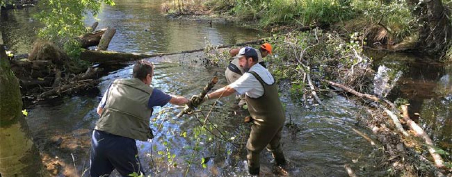 Pezcador al día, principales noticias de pesca (octubre 2015, 1)