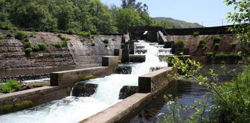 Los ríos salmoneros de España (II): El salmón en el río Lérez