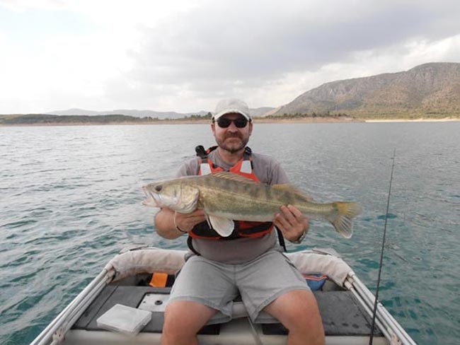 Pesca de luciopercas embarcado luciopercas1