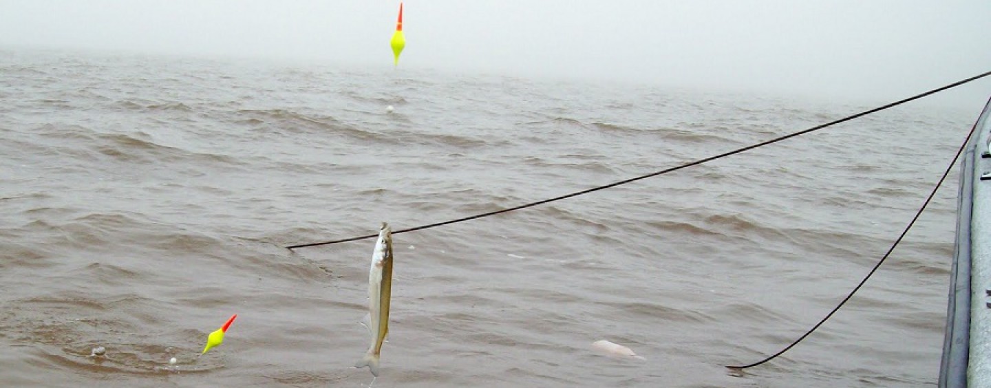 La pesca de pejerrey en Argentina