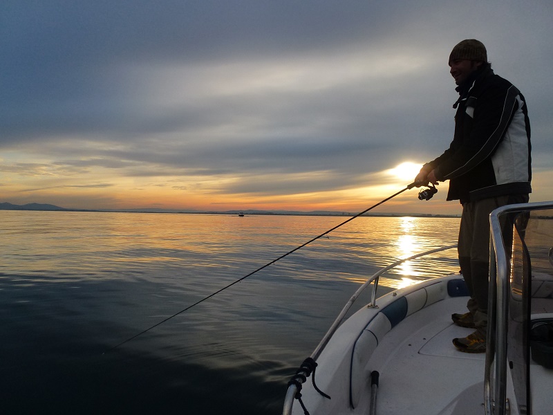 pescar a eging desde embarcación