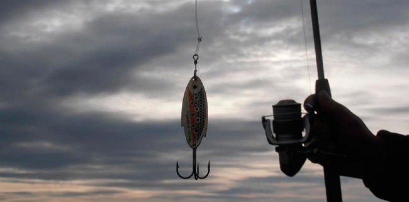 Cucharillas para la pesca de invierno