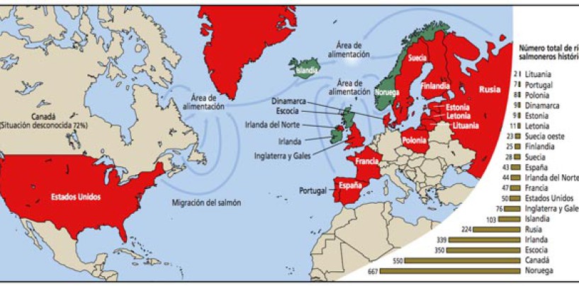 Una introducción a la situación del salmón atlántico en el Mundo