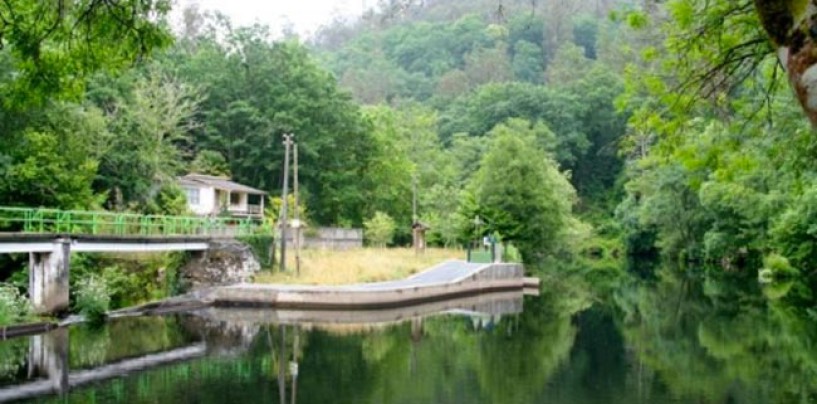 Los ríos salmoneros de España (VI): El salmón en el río Mandeo