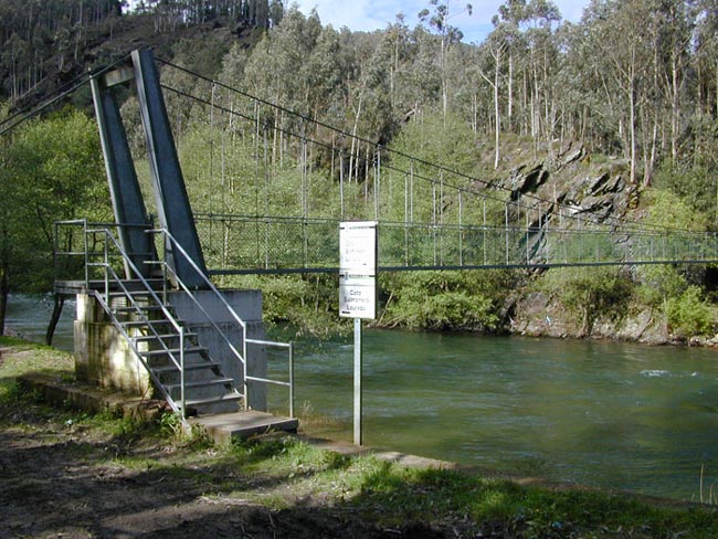 Coto de salmón en el río Eo coto-salmon-rio-eo