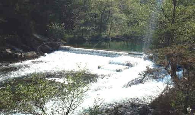 Salmón en el río Sor