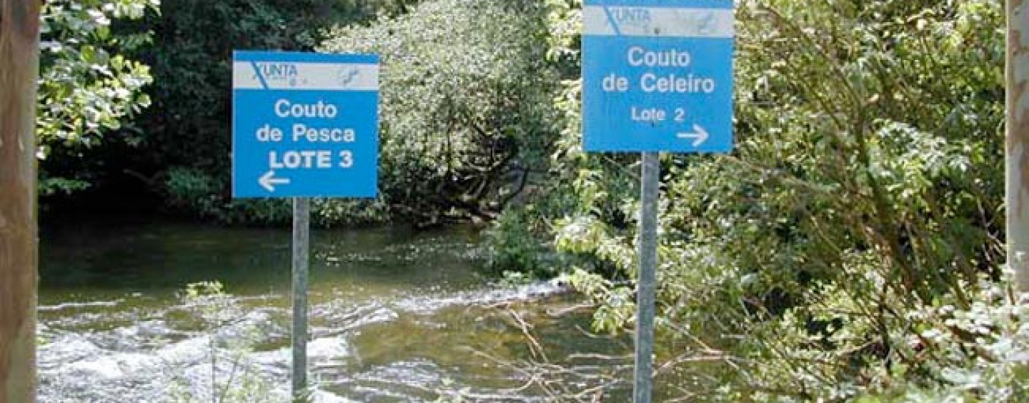 Los ríos salmoneros de España (X): la riqueza del salmón en el río Masma
