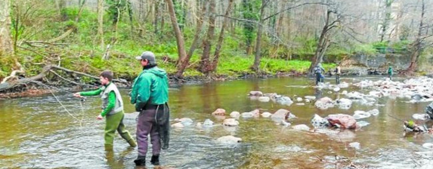 Pezcador al día, principales noticias de pesca (Enero 2015, 2)