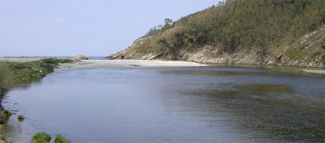 salmón en el río Esva desembocadura-esva2