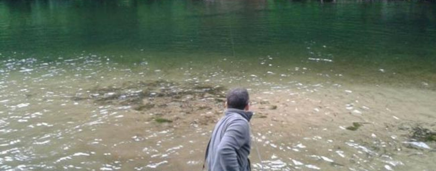 Los ríos salmoneros de España (XV): El salmón en el río Esva, cuando el hombre puede ayudar a la recuperación