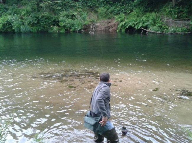 salmón en el rio Esva retirada-redes-esva