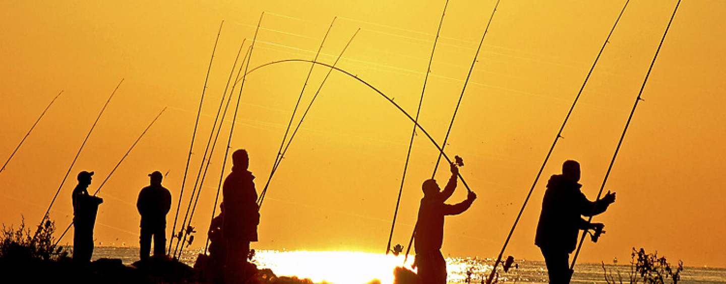 Como modificar la acción de una caña de pesca cambiando el anillado