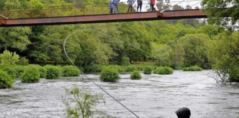 Pezcador al día, principales noticias de pesca (Julio 2016, 1)